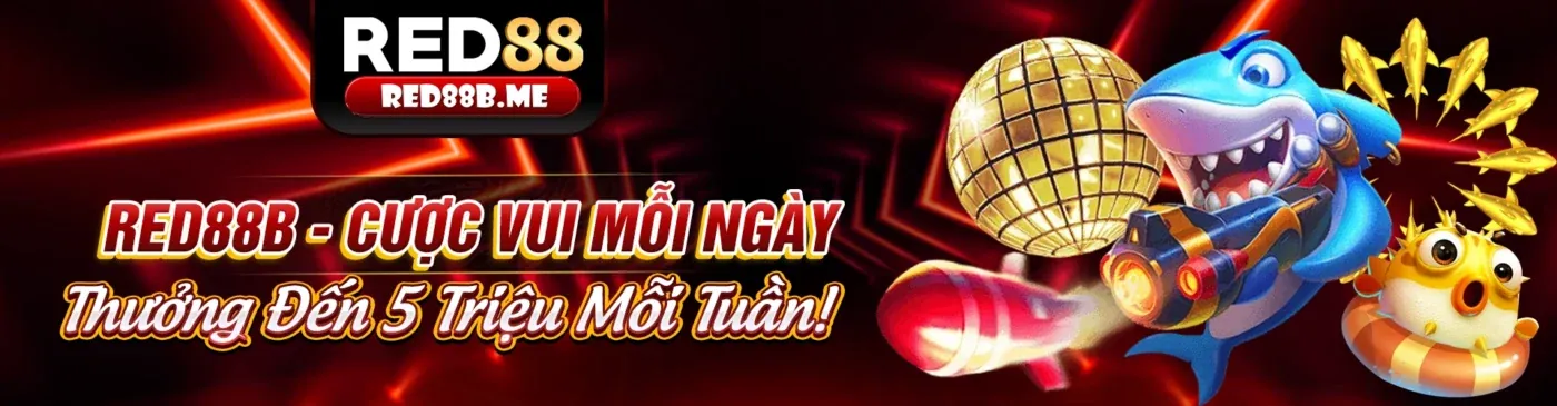 Tổng quan khuyến mãi N66